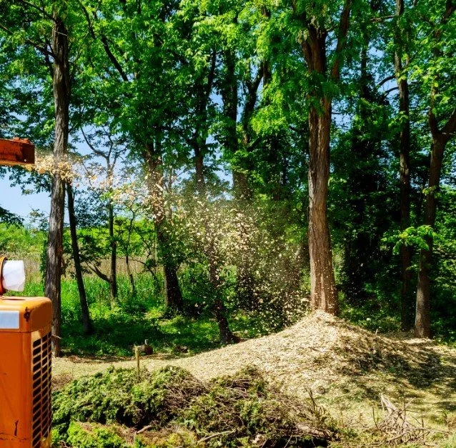 Top Notch Tree & Landscape LLC