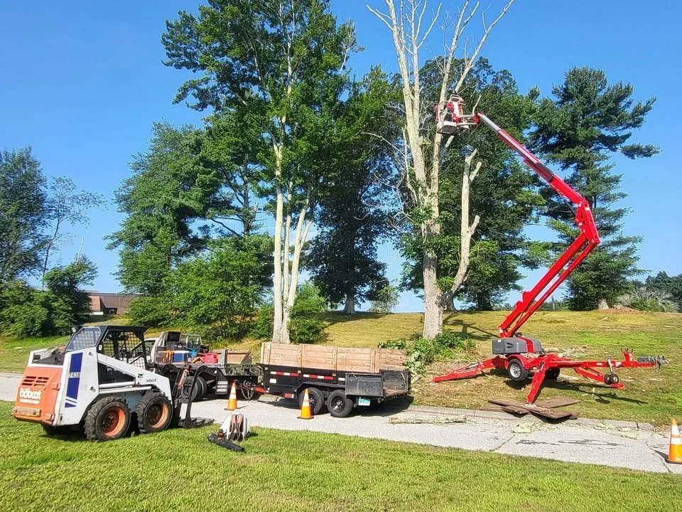 A person cutting a tall, leaning tree in a residential area over a house during cloudy weather.