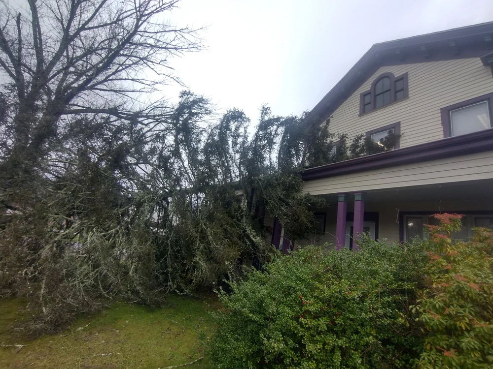 Top Notch Tree & Landscape LLC