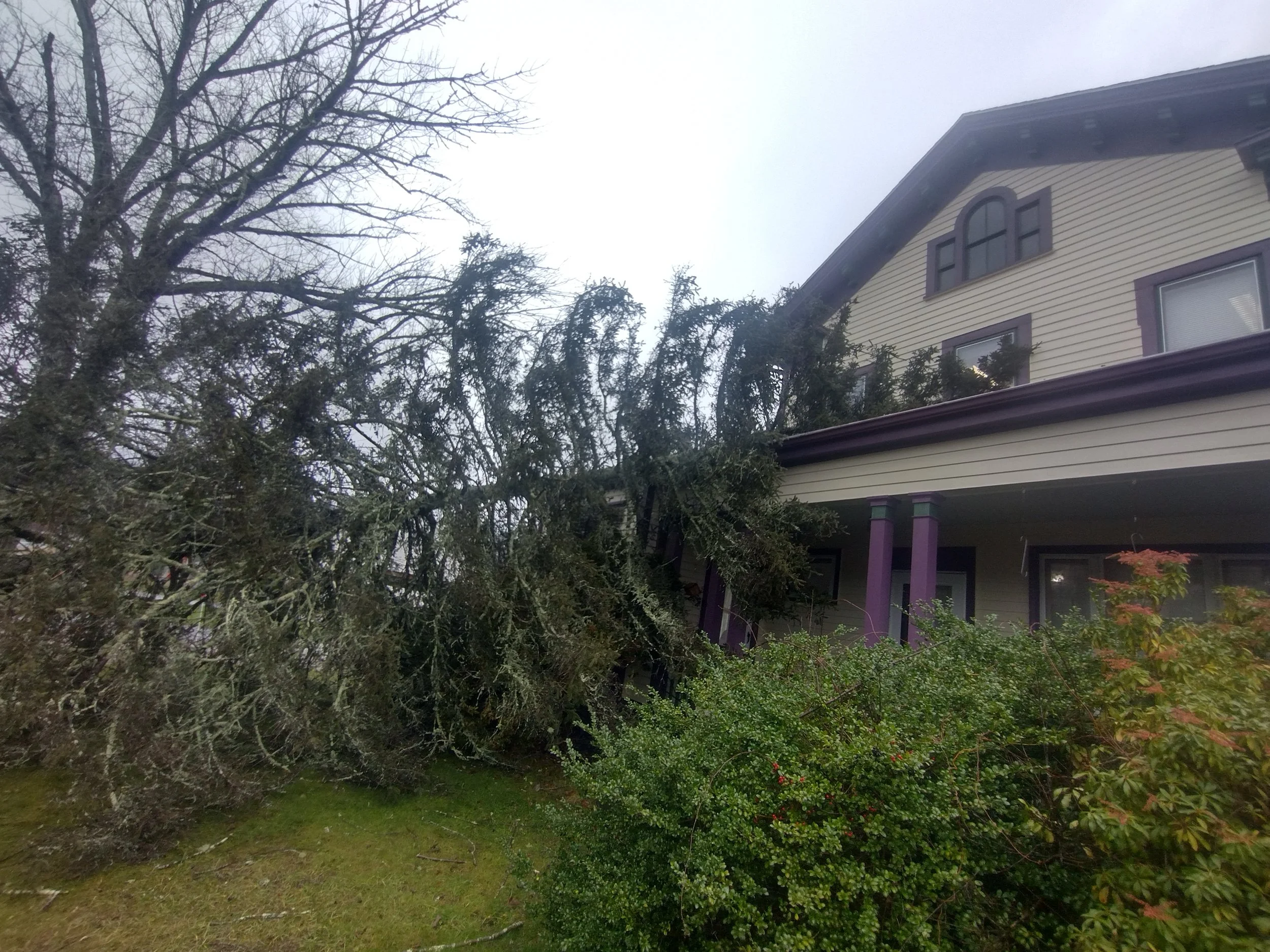 Top Notch Tree & Landscape LLC