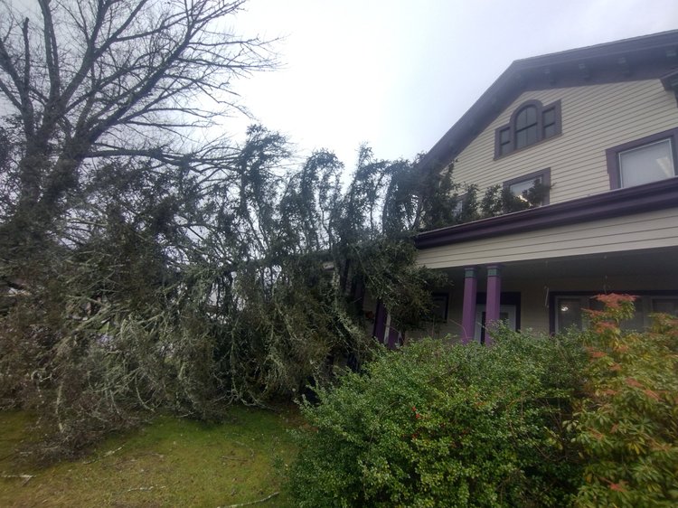 Top Notch Tree & Landscape LLC