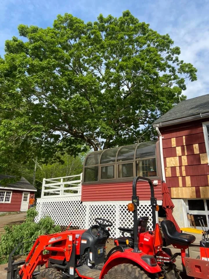 Top Notch Tree & Landscape LLC