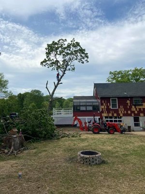 Top Notch Tree & Landscape LLC