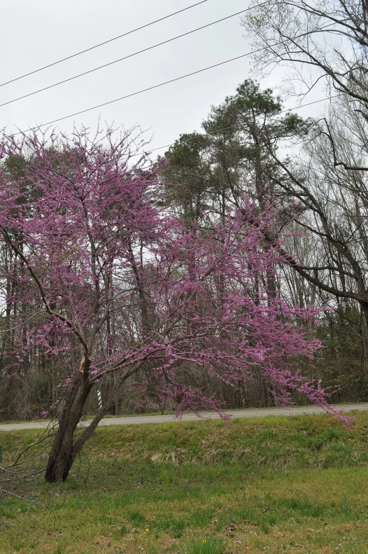 Having Fun and Making Memories!