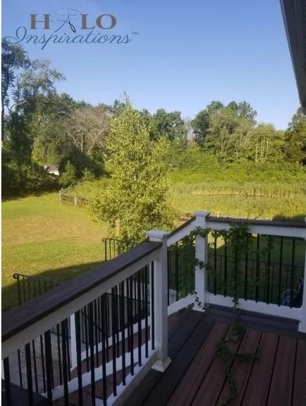 From His Back Porch…