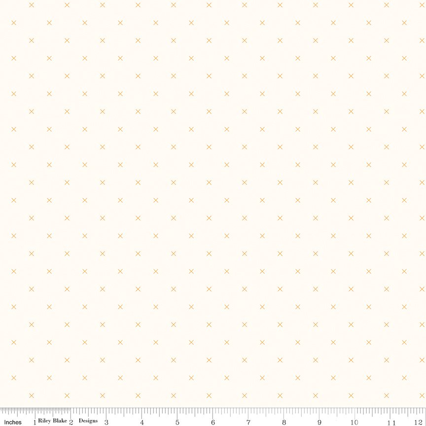 C747-DAISY-72dpi-wruler.jpg