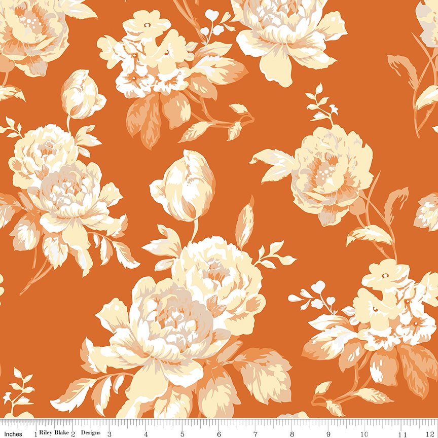 C13470-ORANGE-72dpi-wruler.jpg