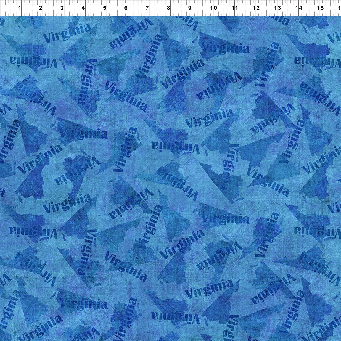 VA Toss Blue 11BR-1 w ruler.jpg