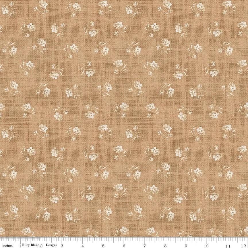 C17790-BISCUIT-72dpi-wruler.jpg