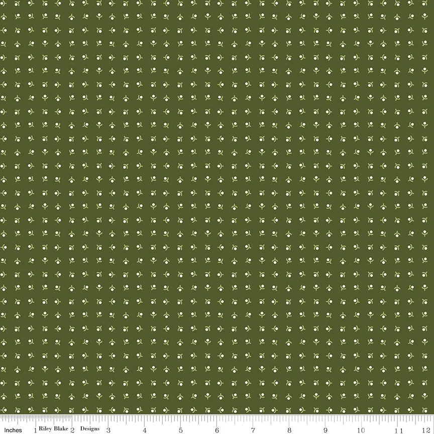 C17793-ZUCCHINI-72dpi-wruler.jpg