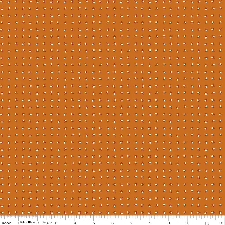 C17793-AMBER-72dpi-wruler.jpg