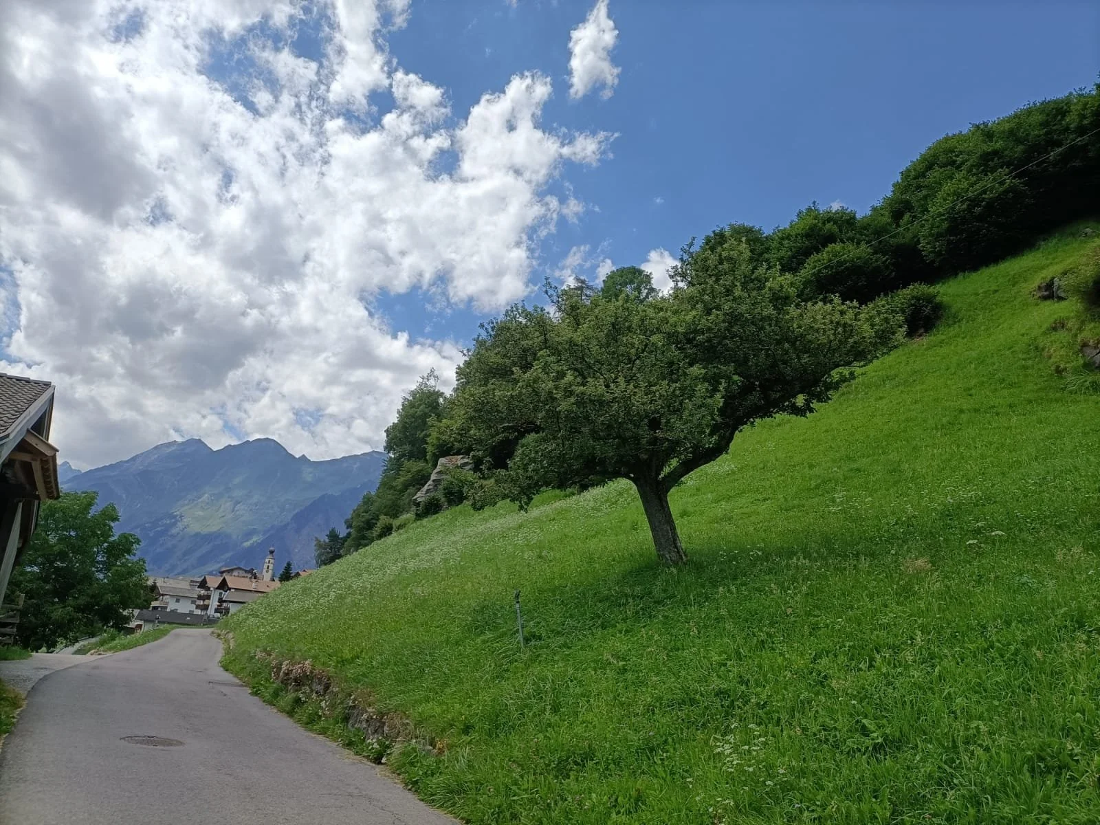 Jogglander in Stuls, Gemeinde Moos