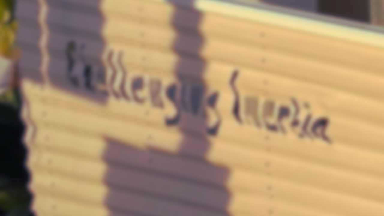 CHALLENGING INERTIA - A RESIDENCY AND EVENT WITH GROW STUDIOS ARTISTS