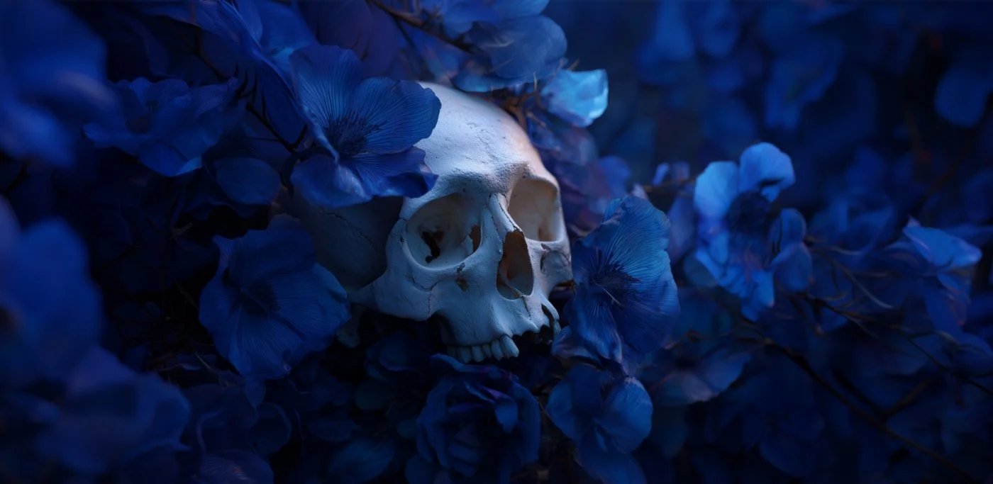 A human skull surrounded by blue flowers, with dim lighting creating a dark, mysterious atmosphere.