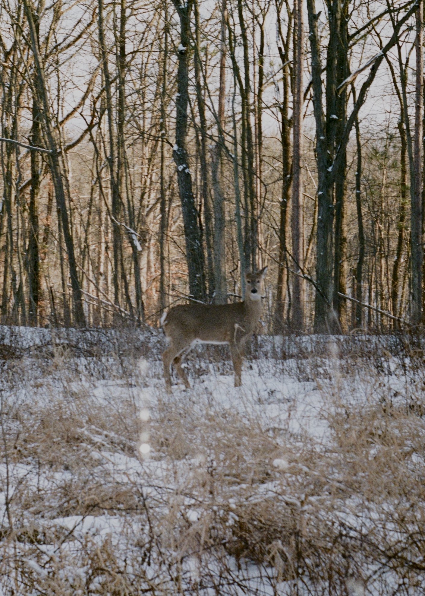 0011_10_Original.jpg