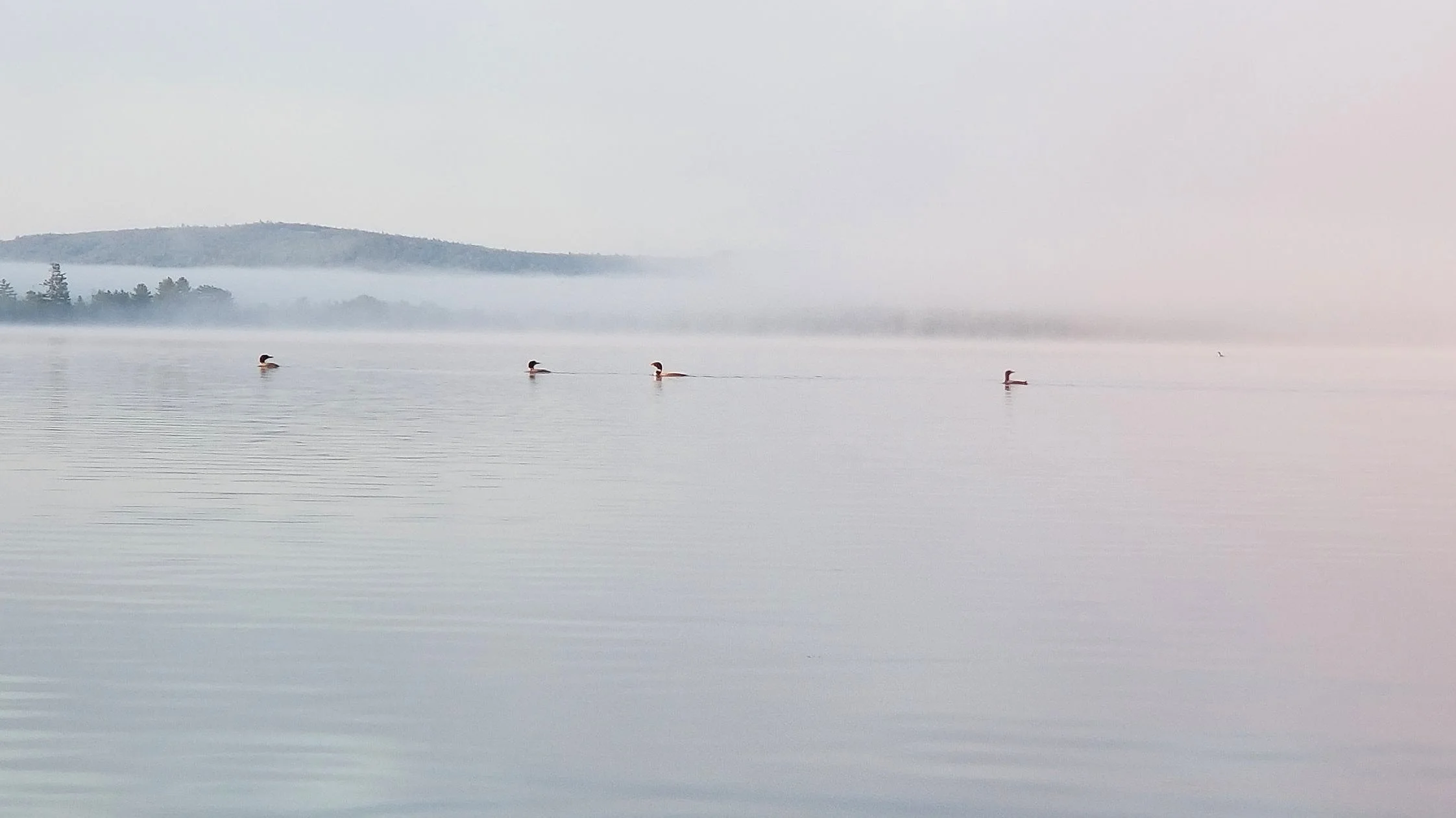 Lake House Boat Rentals Ossipee Lake, Ossipee, NH