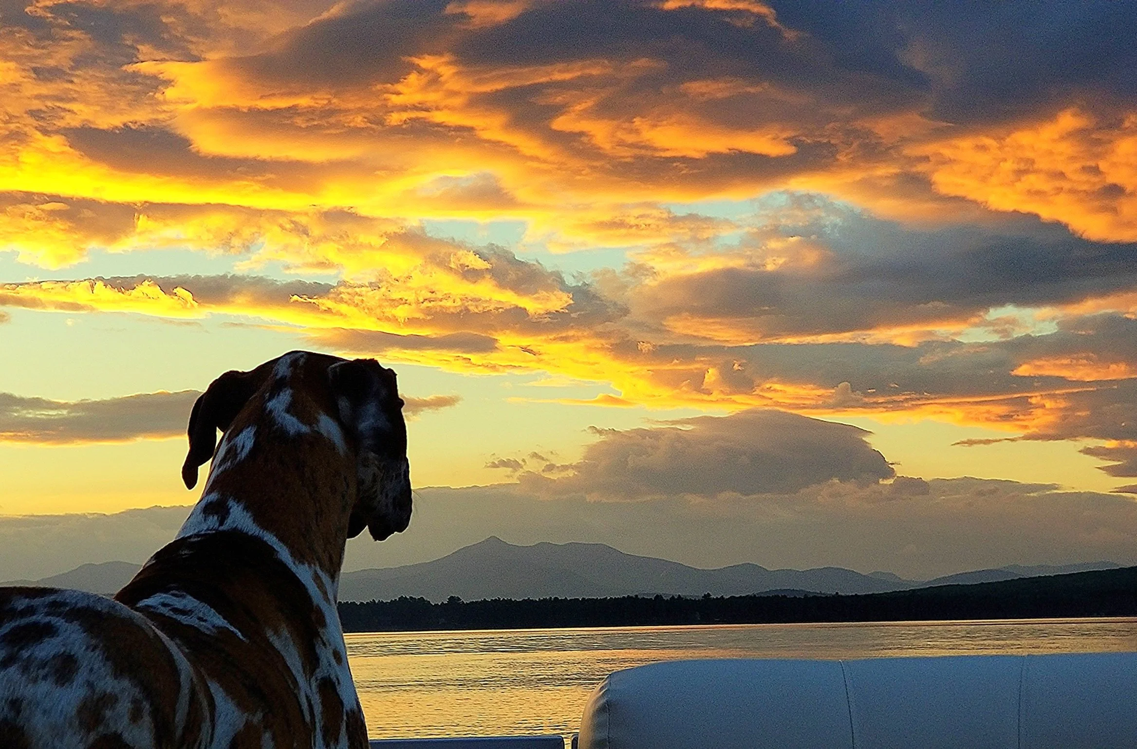 Lake House Boat Rentals Ossipee Lake, Ossipee, NH