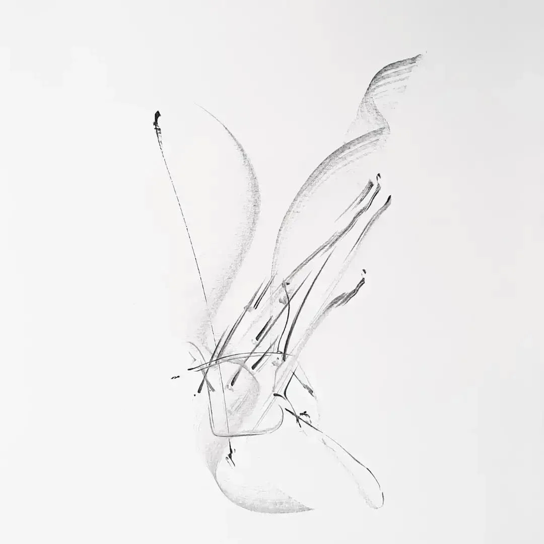 Same drawing, different angles 🕊

AVAILABLE
&quot;Into thin air&quot;
Graphite and ink on paper
29,7 x 42 cm