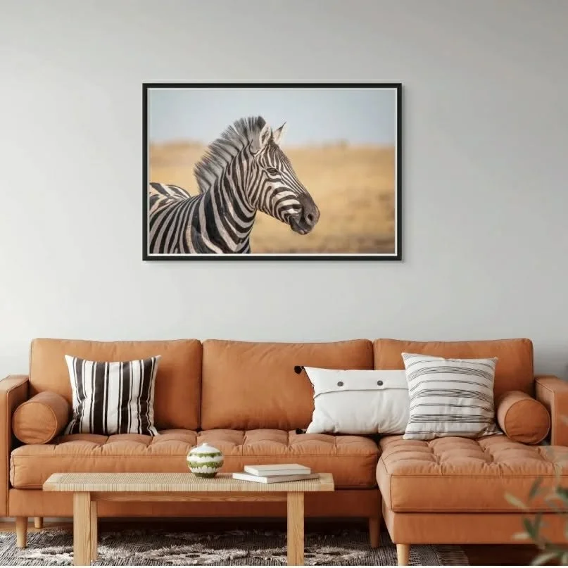 The most aethetic animal in the world ! 

It is very special to me to share these photos with you. I am not going to lie.. There were many things I disliked about the &quot;safari&quot; experience. But we did our best to avoid the super touristic pla