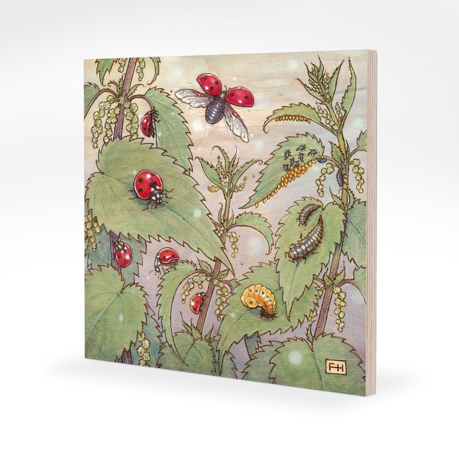 6x6-maple-ladybug.jpg