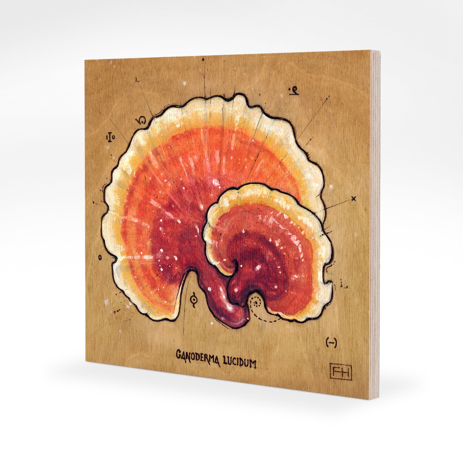 Woodprint_Ganoderma.jpg
