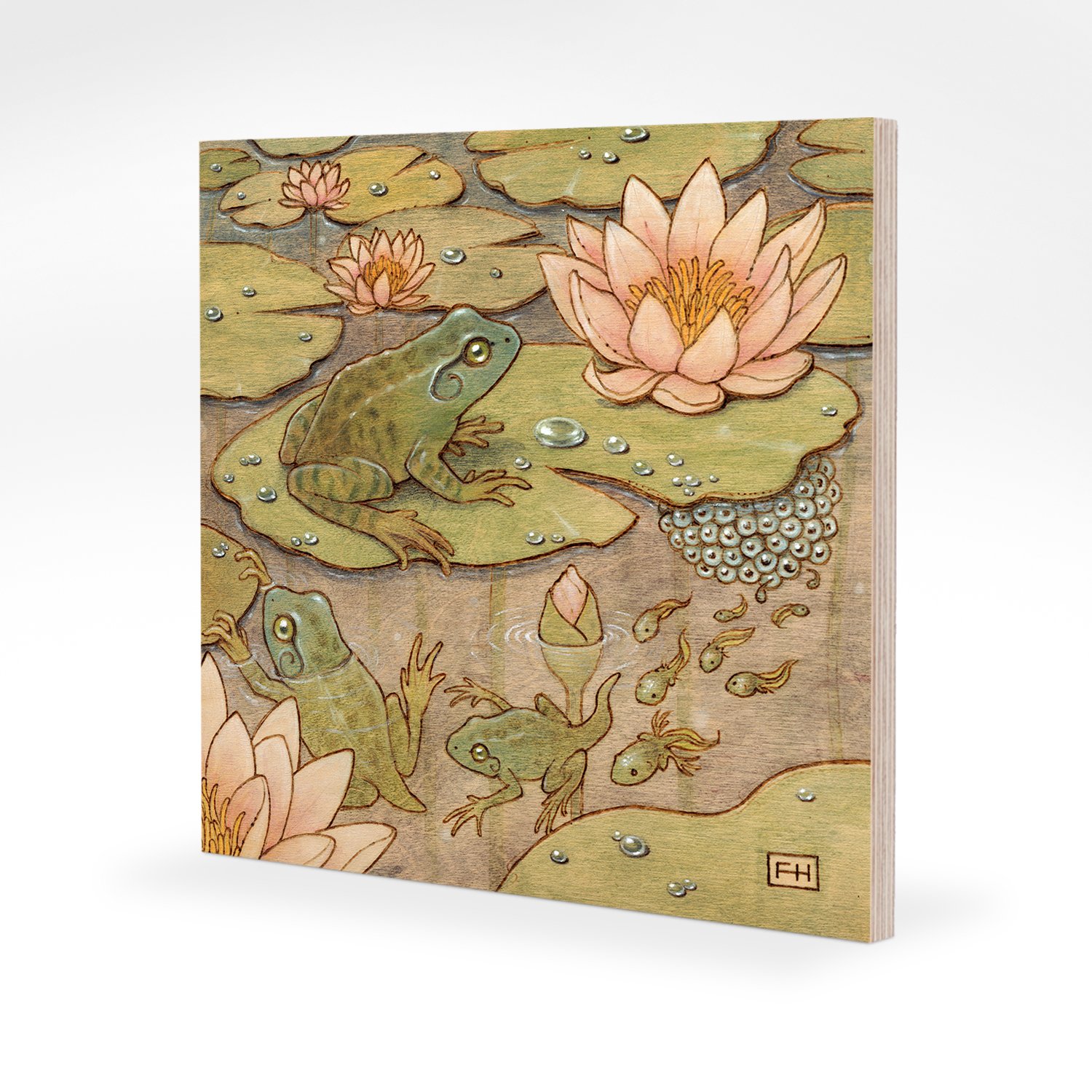 6x6-maple-frog.jpg