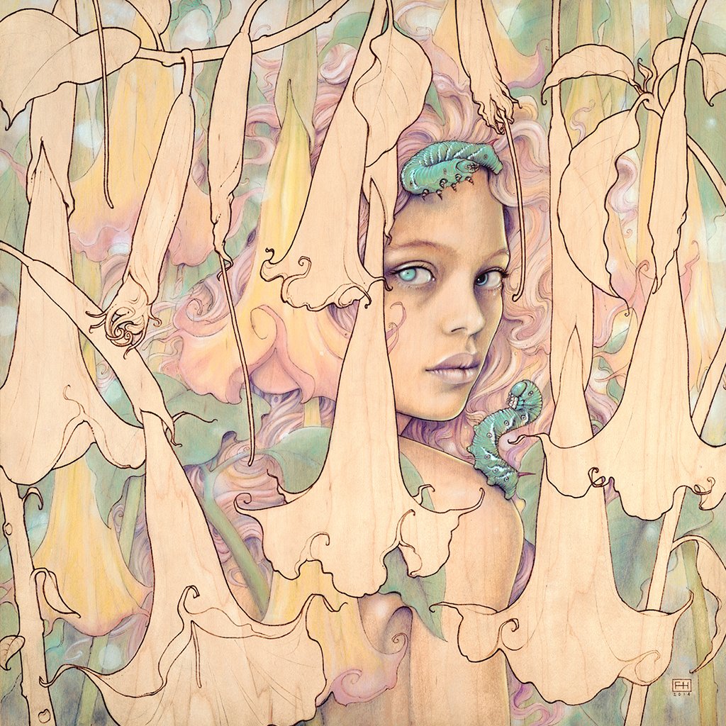 'Datura'
20"x20"
Pyrography and natural pigments on wood 
