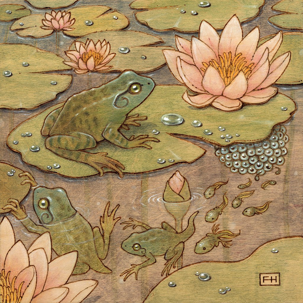 frog_1024.jpg