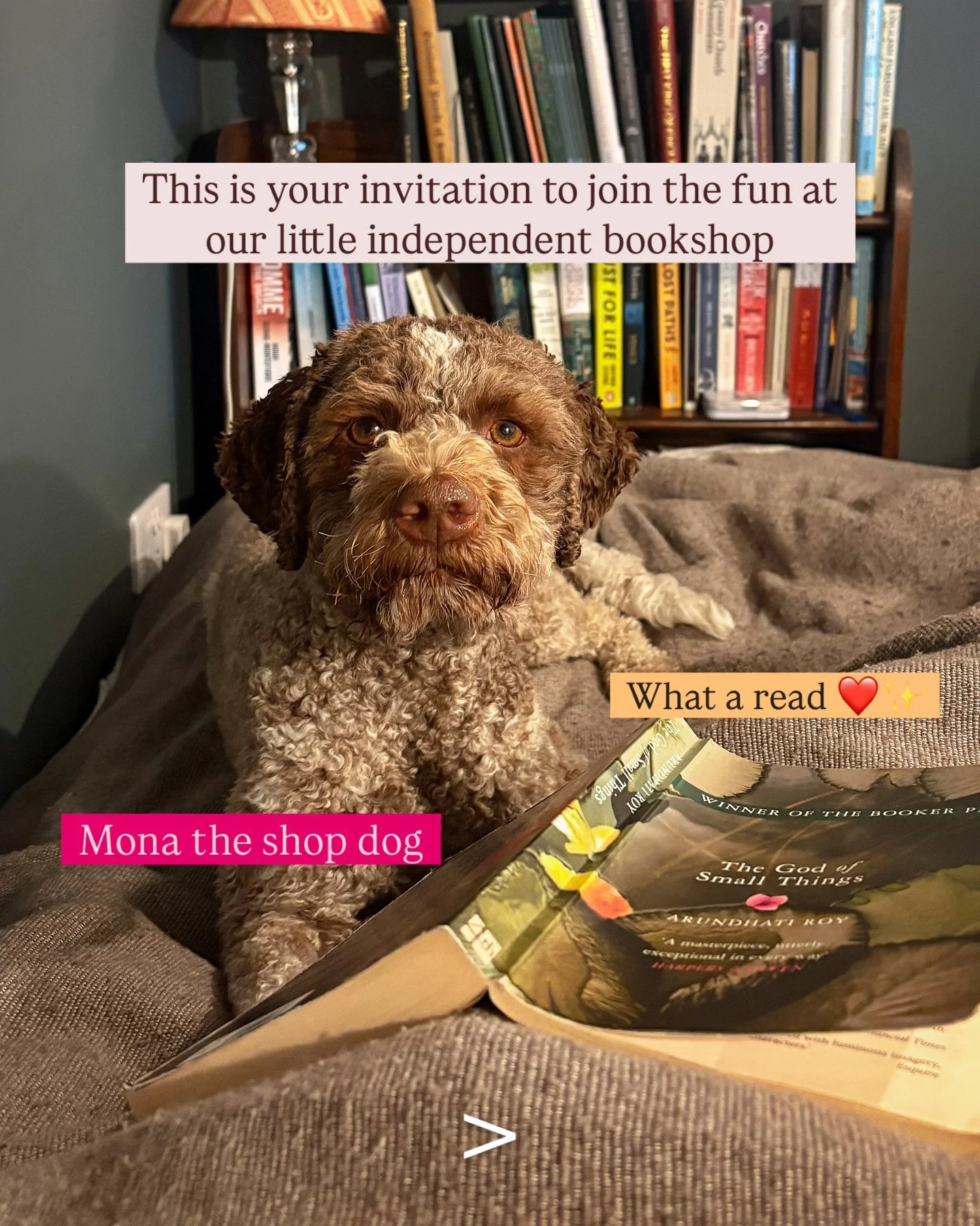 We&rsquo;ve got a few events to share with you: online and in-person. Something for everyone. Hope you enjoy!

#sherlockandpages