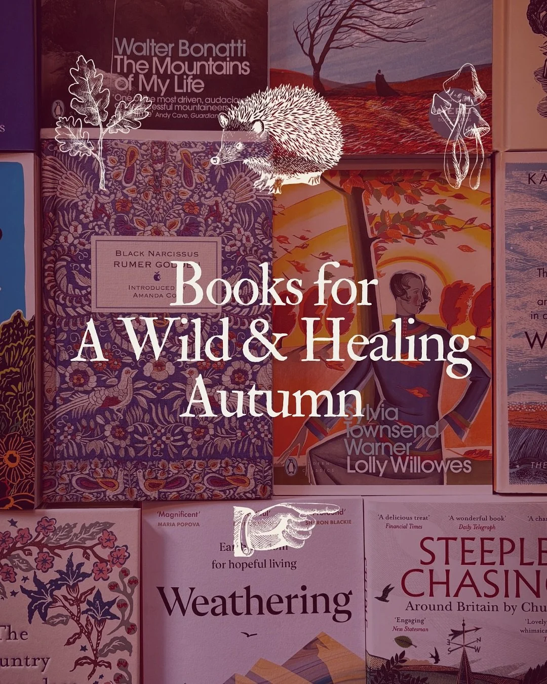 🍂 And Autumn is here 🦔

Last week I wrote my newsletter about the shifting of the seasons and how for booksellers this means changing up the shelves. Books such as @katherinemay_&rsquo;s &ldquo;Wintering&rdquo; are called for by readers keen for li