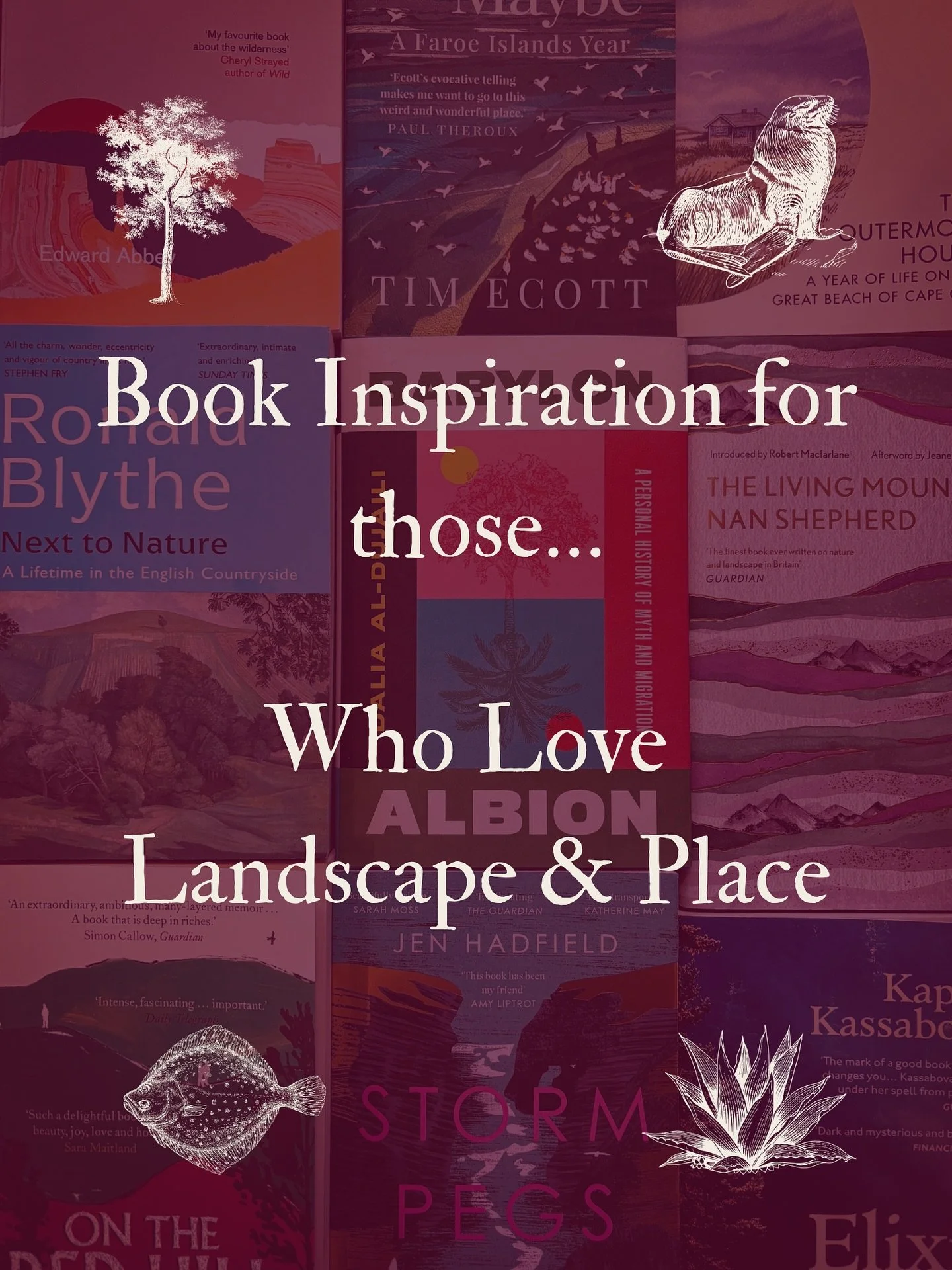 Our next instalment of book inspiration ideas as we move into the gifting season, whilst always maintaining the distinct possibility of making a gift to ourselves, for self care means we can be at our best for others - which is fundamentally a selfle