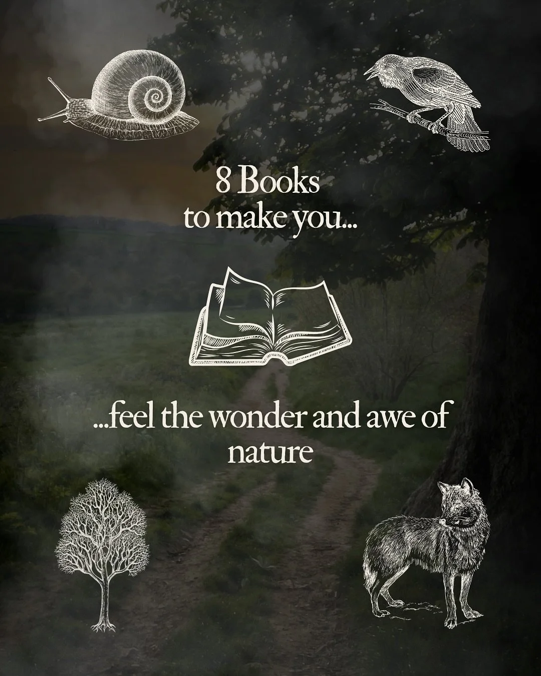 I was recently asked for my top nature writing recommendations and really wasn&rsquo;t sure what to say. It wasn&rsquo;t the lack of books&hellip;it was the diversity and range of them, the differing moods and needs of the reader. So, the conversatio
