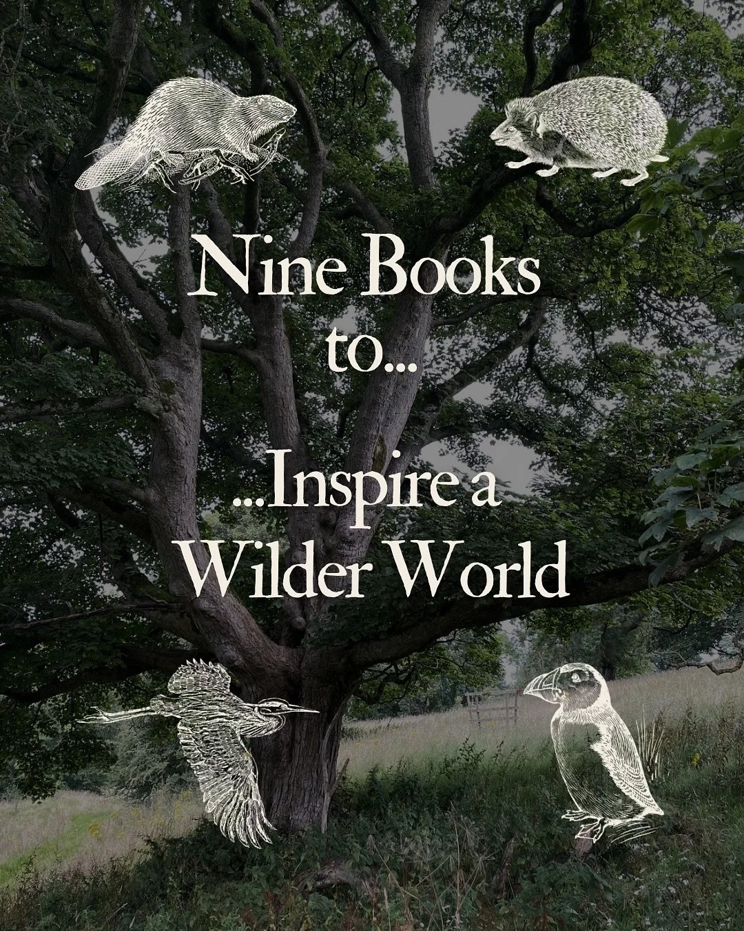 Hello dear readers. A few weeks ago we took an hour or two to delve into the books we thought could provide a variously practical, inspiring, and challenging reading list for those who wish to envision a wilder world&hellip;of course, there are alway