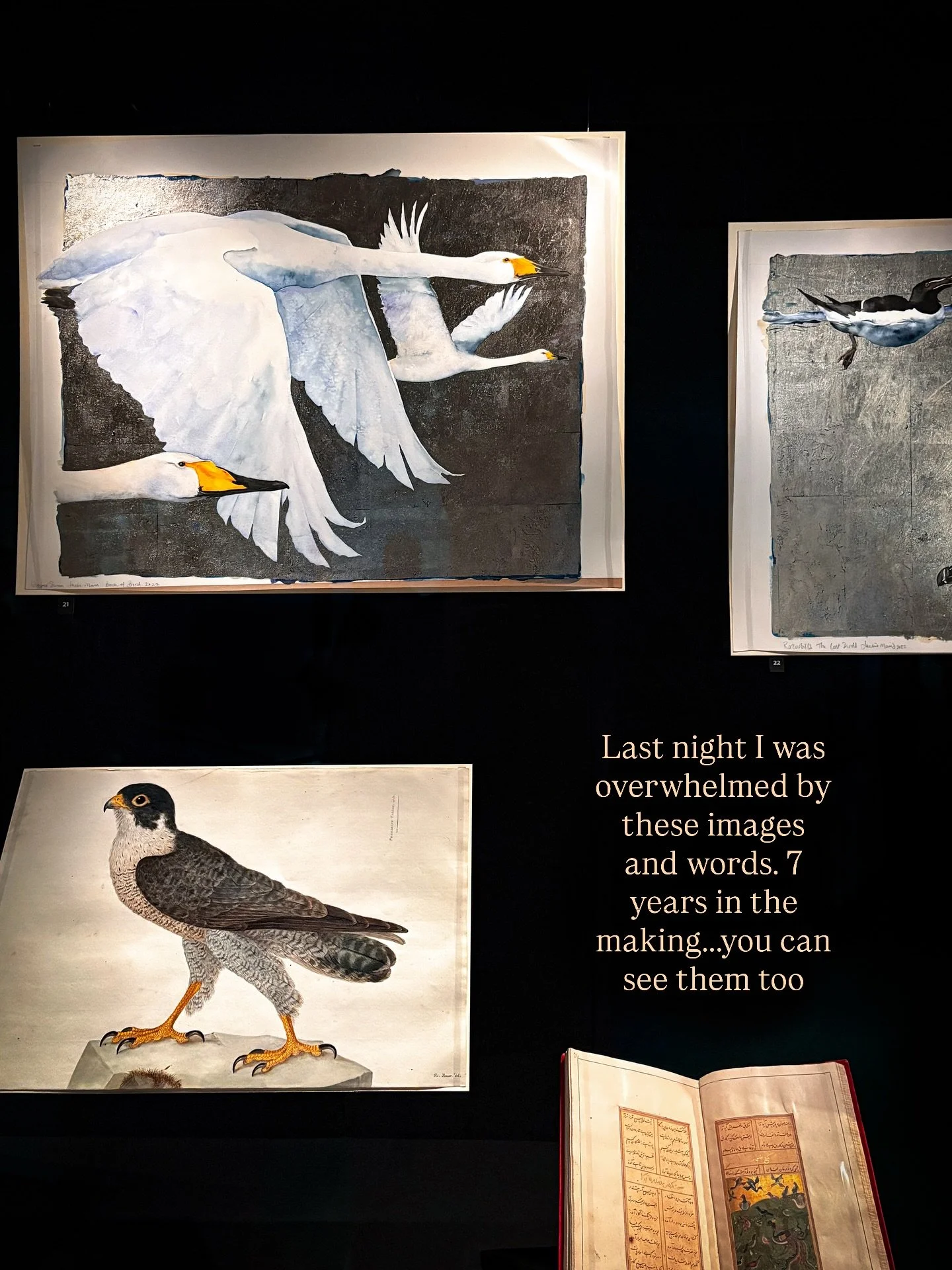 Thank you @jackiemorrisartist @robgmacfarlane for all the years of heart and soul that went into this book. And thank you to @bodleianlibraries for hosting this magical exhibition - I was fortunate enough to get to the opening. How diminished we are 