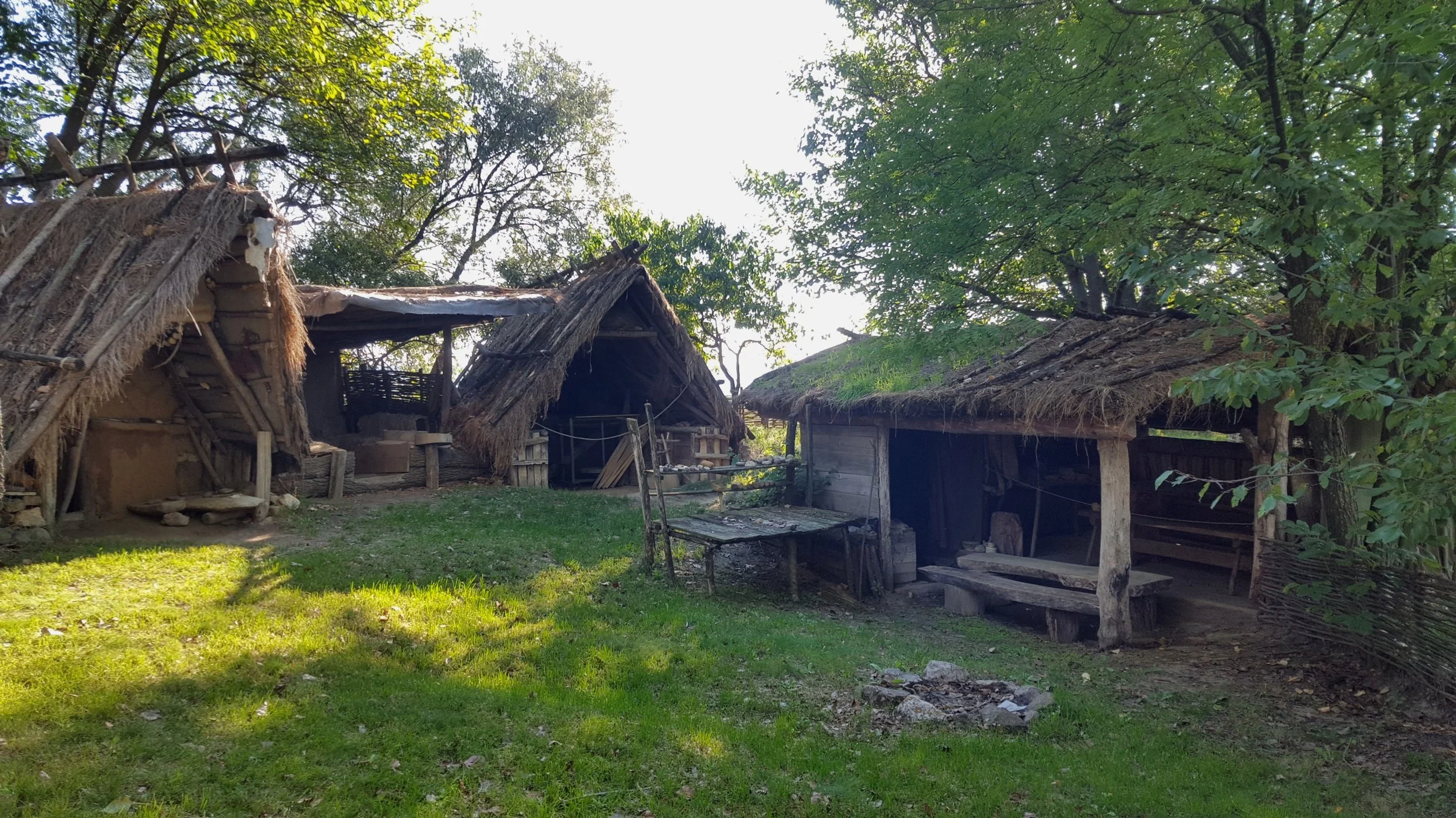 20210911_084453.jpg