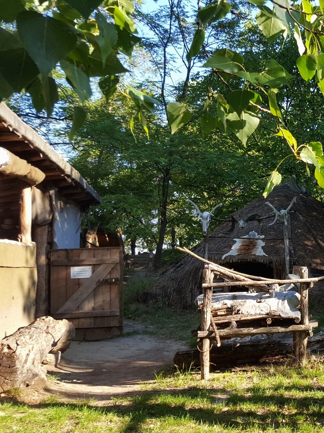 20210911_084519.jpg