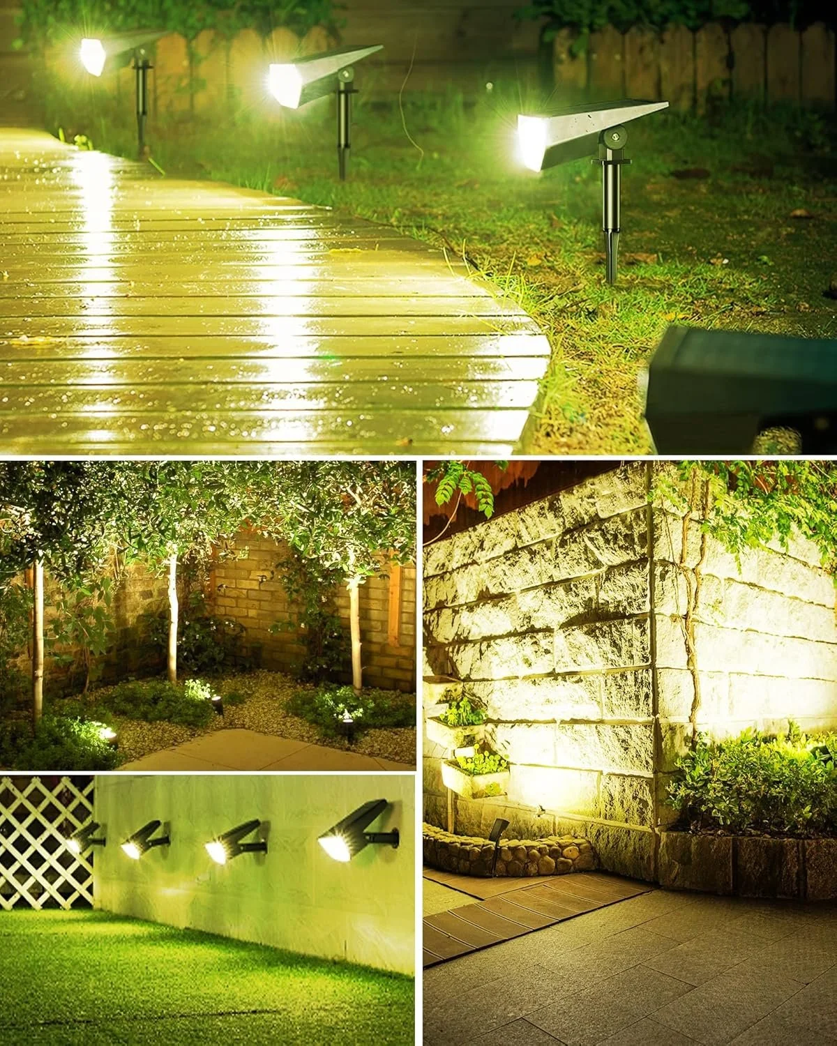 lights.jpg