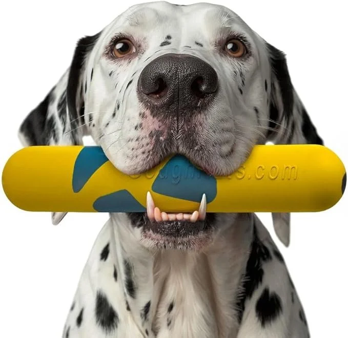 pets6.jpg