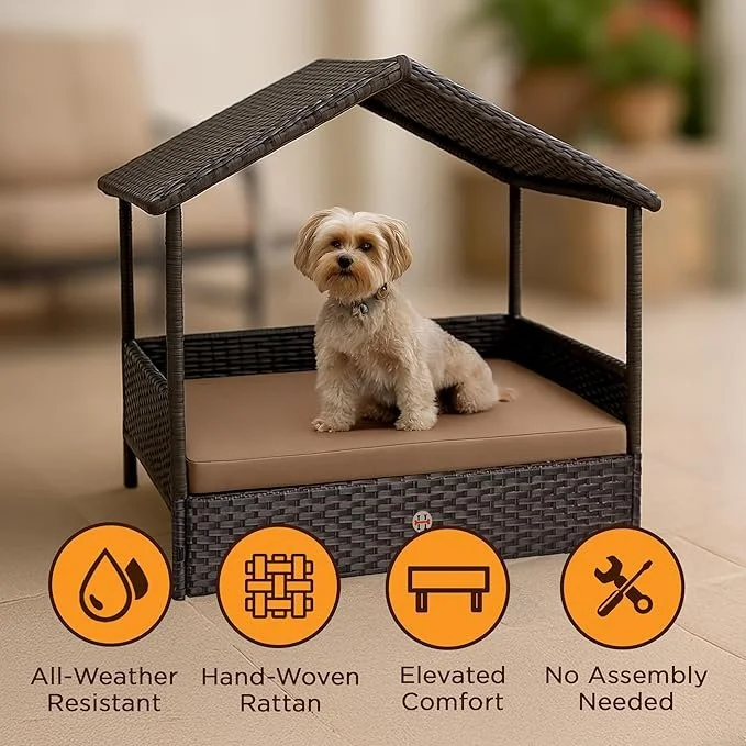 pets4.jpg
