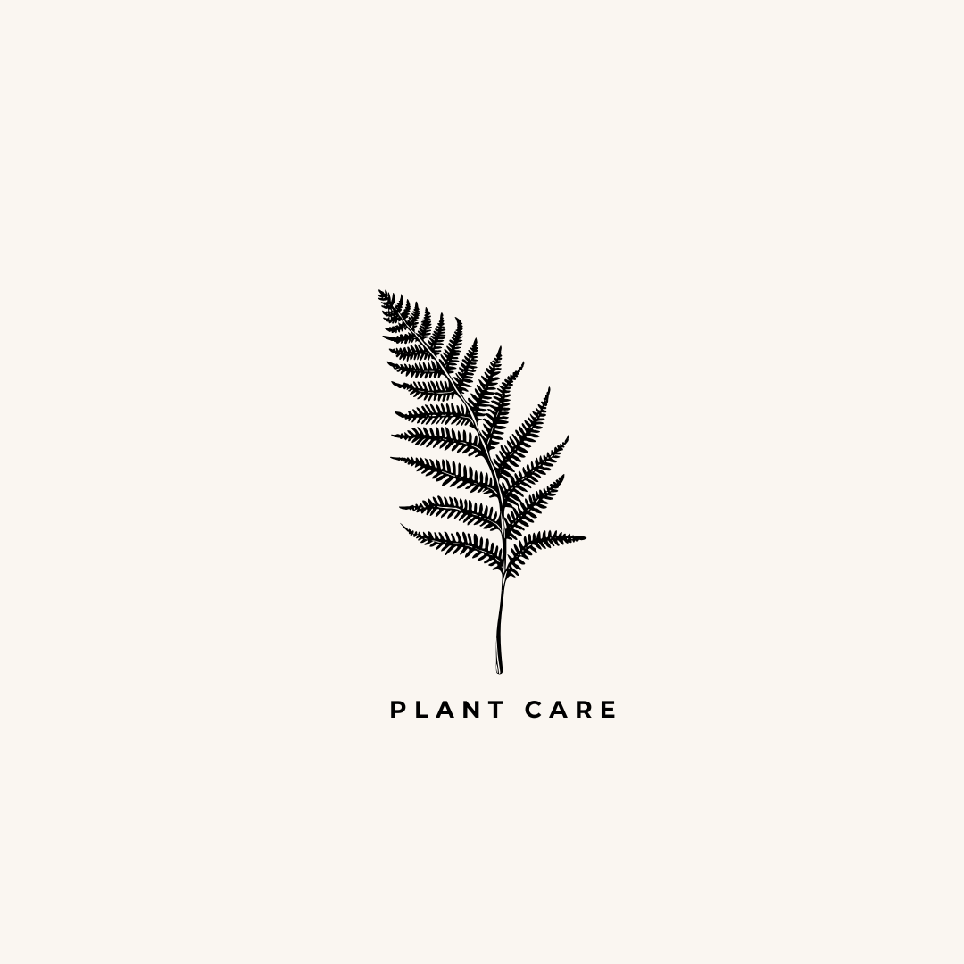 Illustration of a black fern leaf with the text "Plant Care" underneath on a light background.