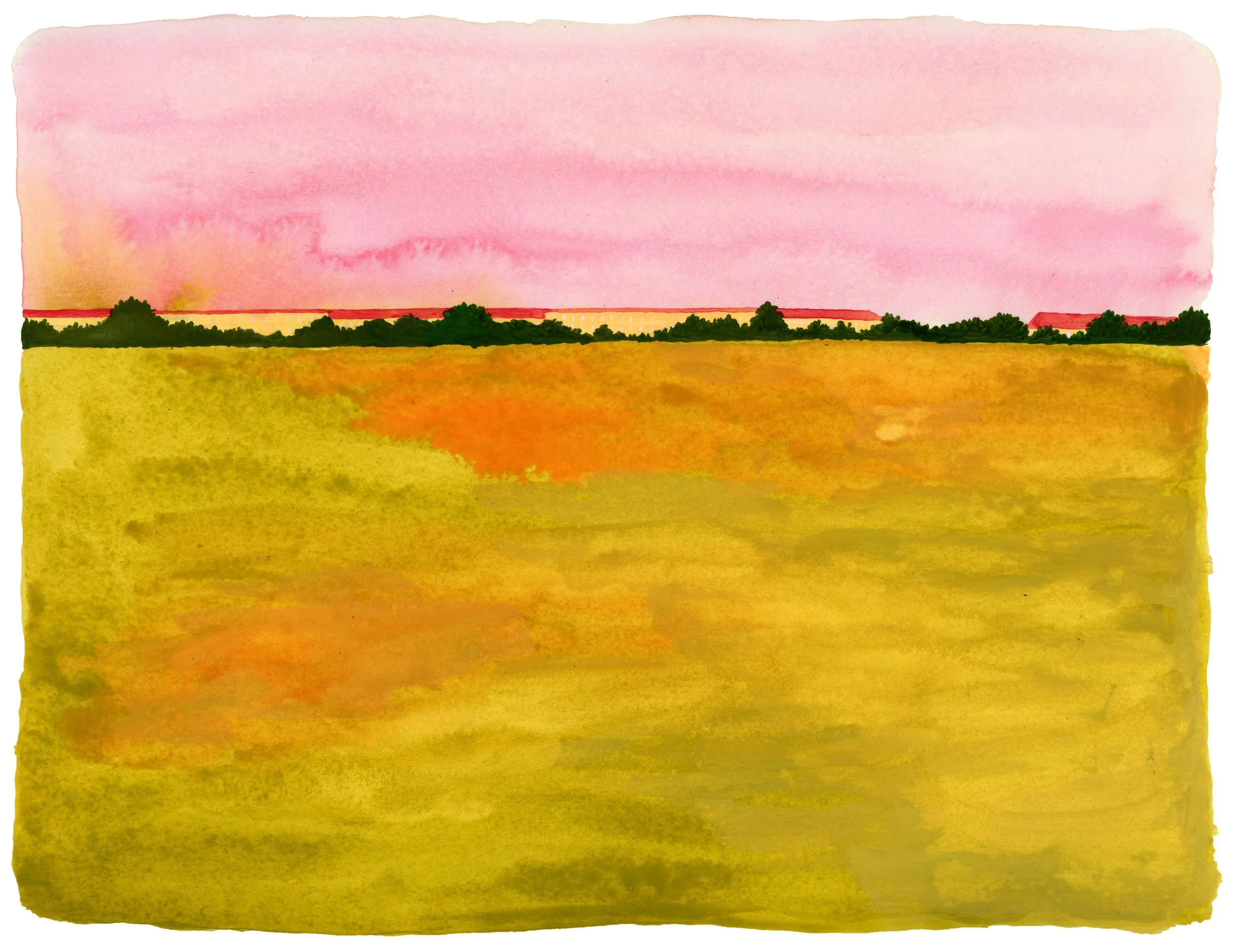 Tempelhofer Feld.jpg