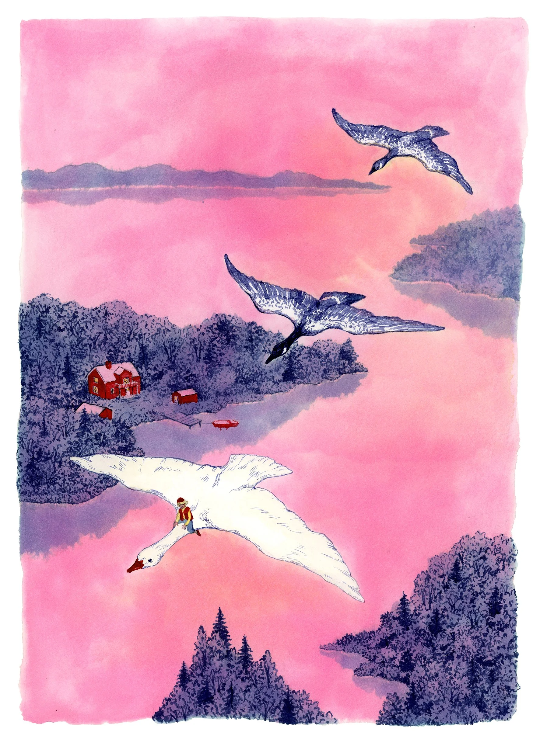 Nils Holgersson_low res.jpg