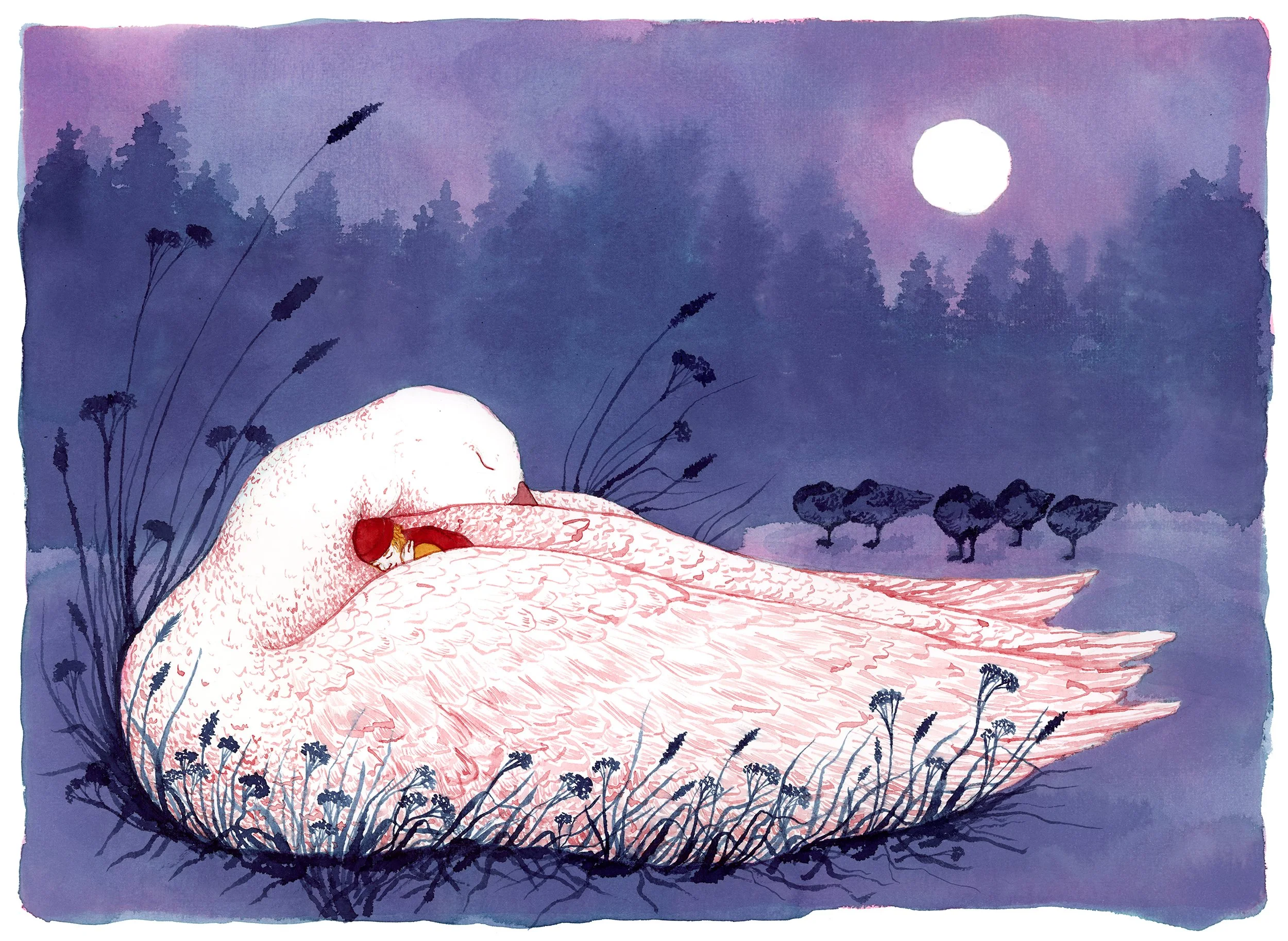 Nils and Martin_2_low res.jpg