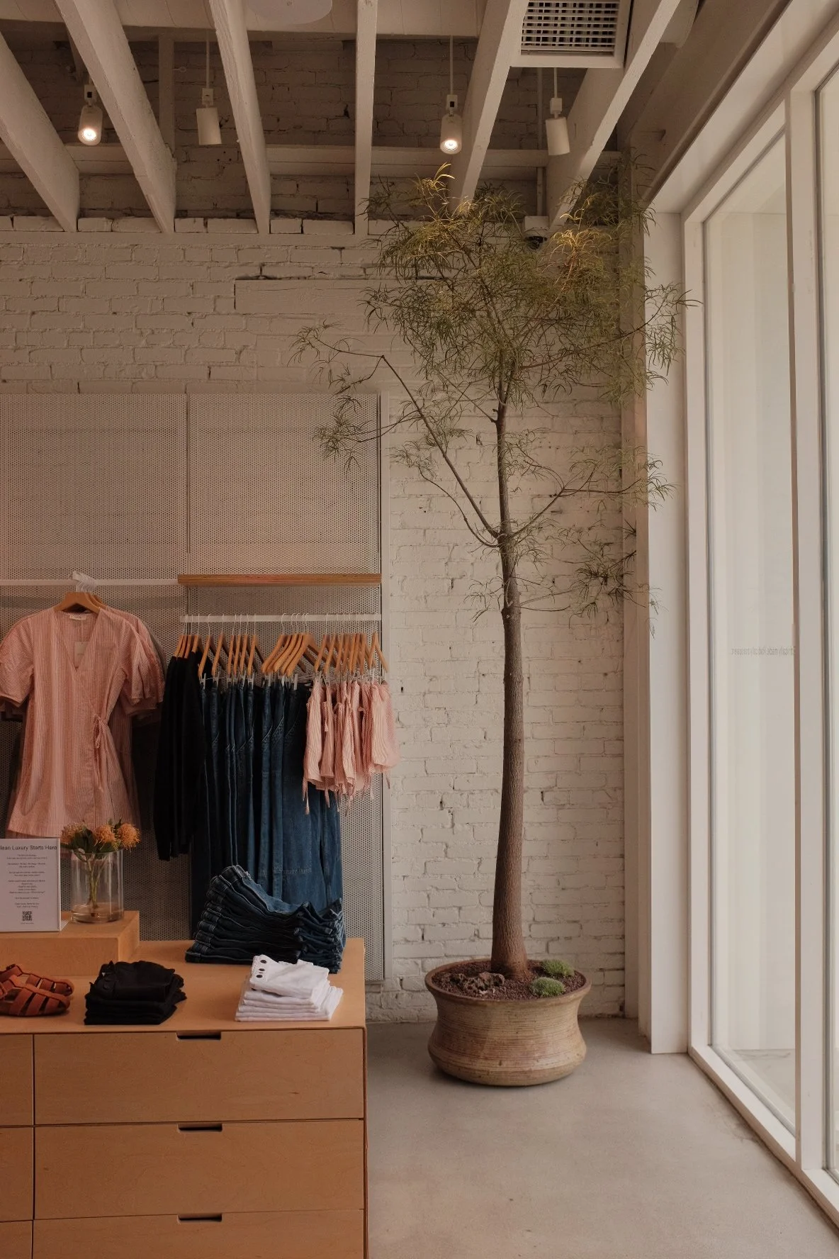 Everlane