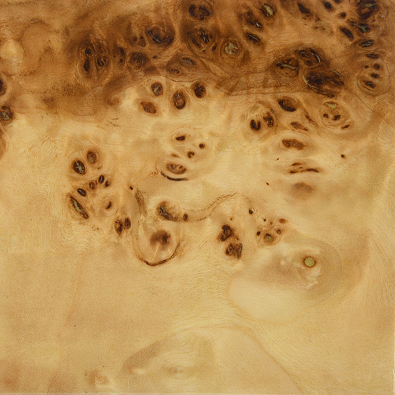 BURL_WOOD__61138.1603212536.jpg