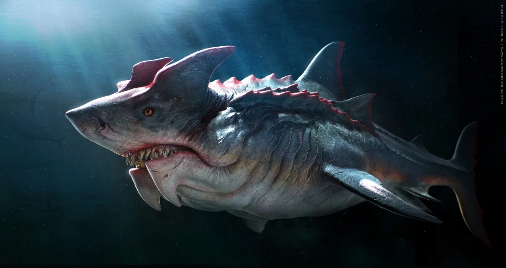 marcus-dublin-devil-shark-beauty-render-01.jpg