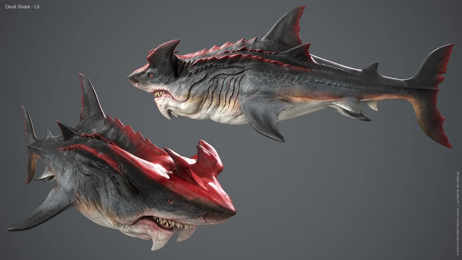 marcus-dublin-devil-shark-group-render-01a.jpg