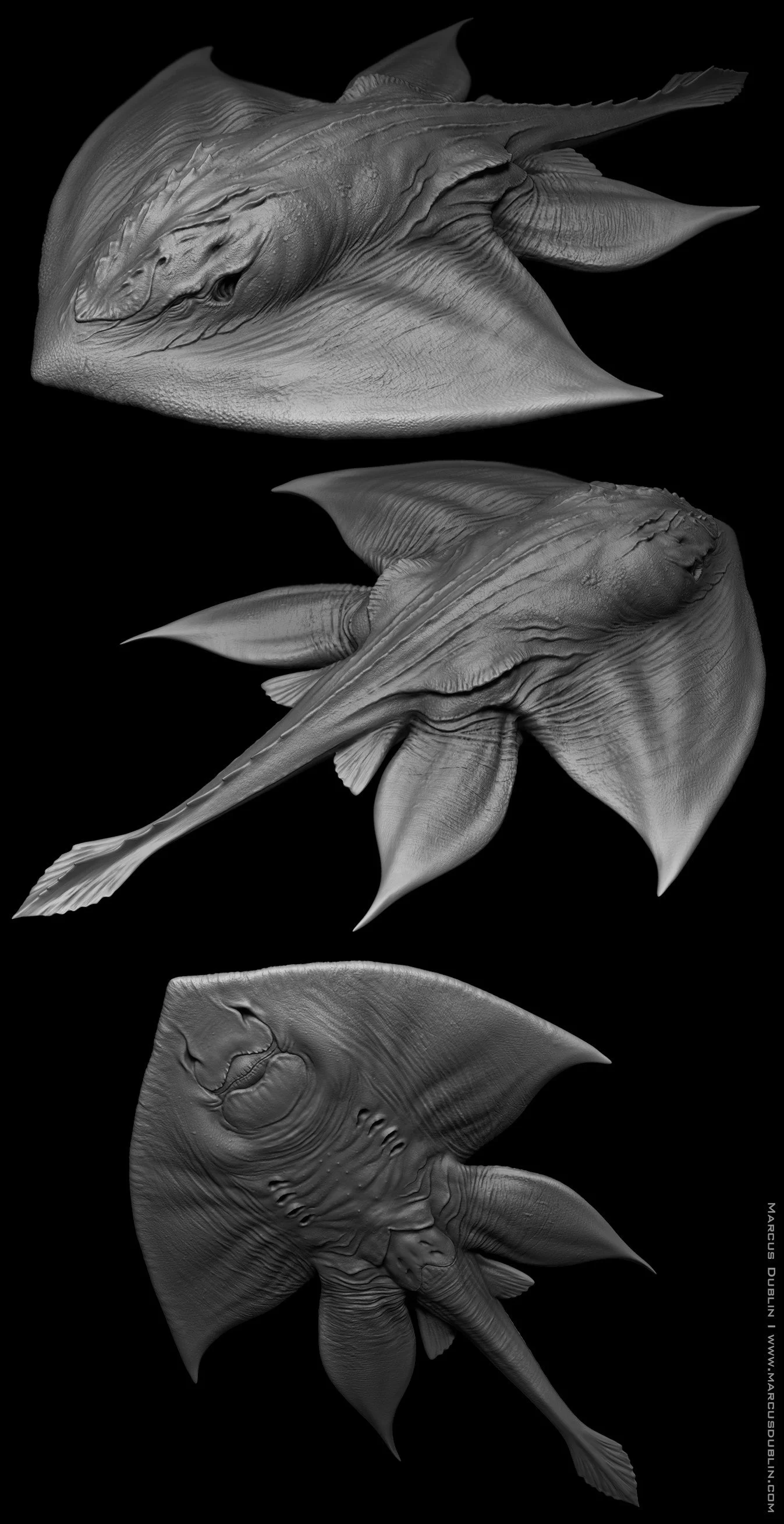 marcus-dublin-stingray-remaster-sculpt-render-01-as.jpg