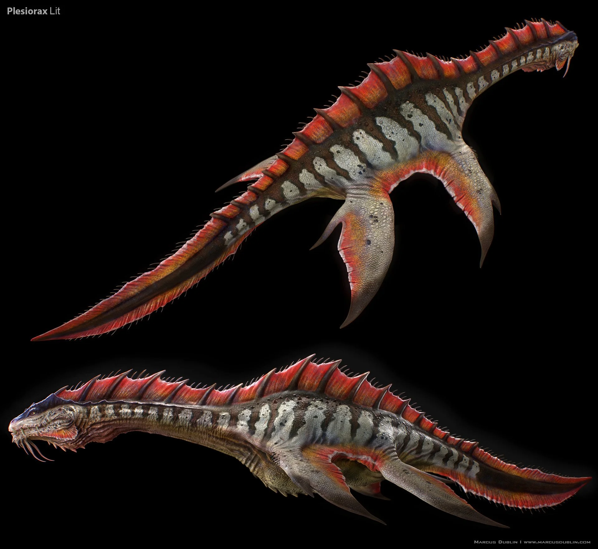 marcus-dublin-plesiorax-front-render-group-lit-02.jpg