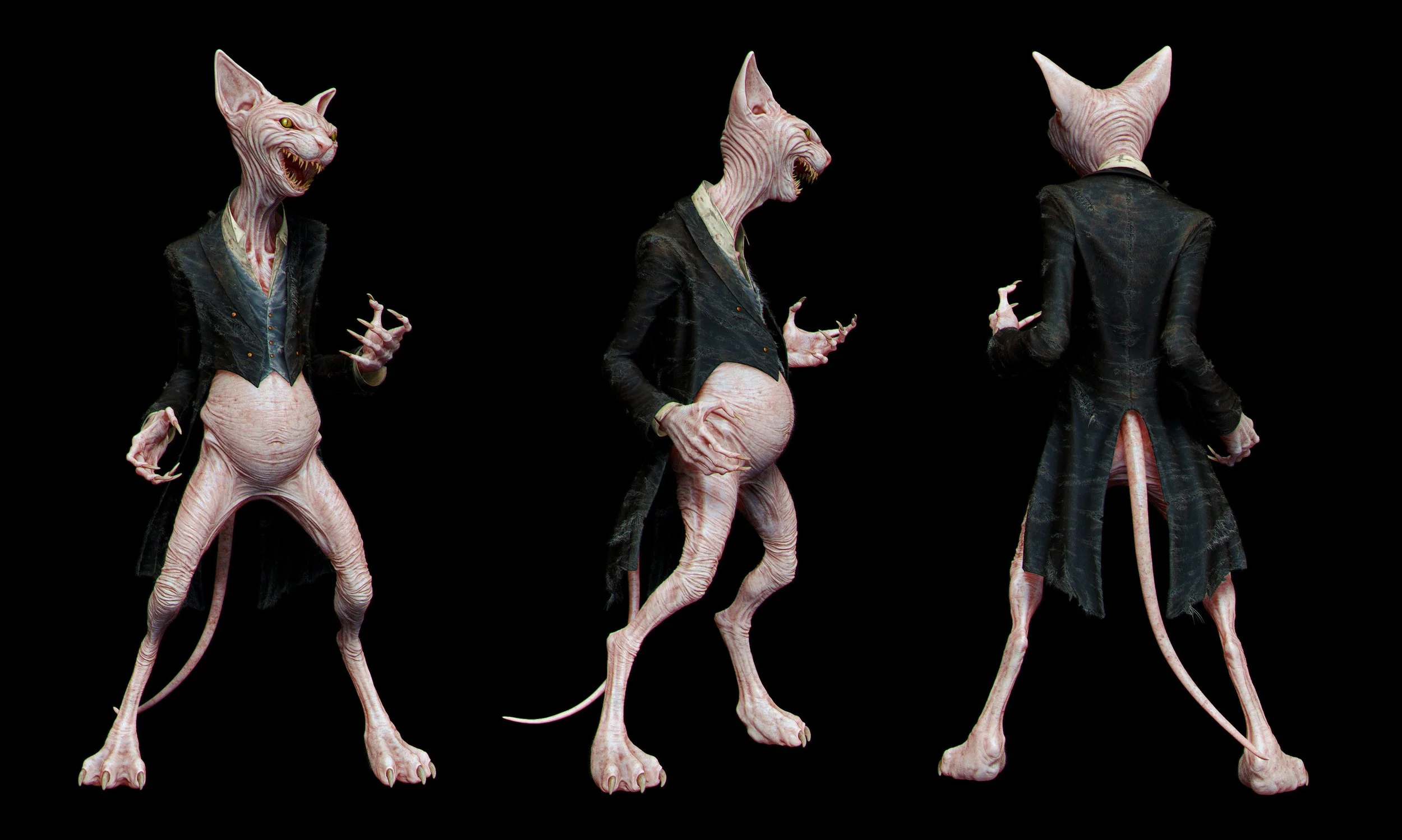 habib-kassassir-wildcat-wide.jpg